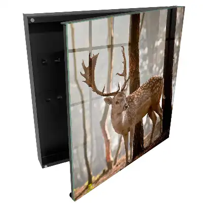 Box na klíče Jelen v lese při západu slunce