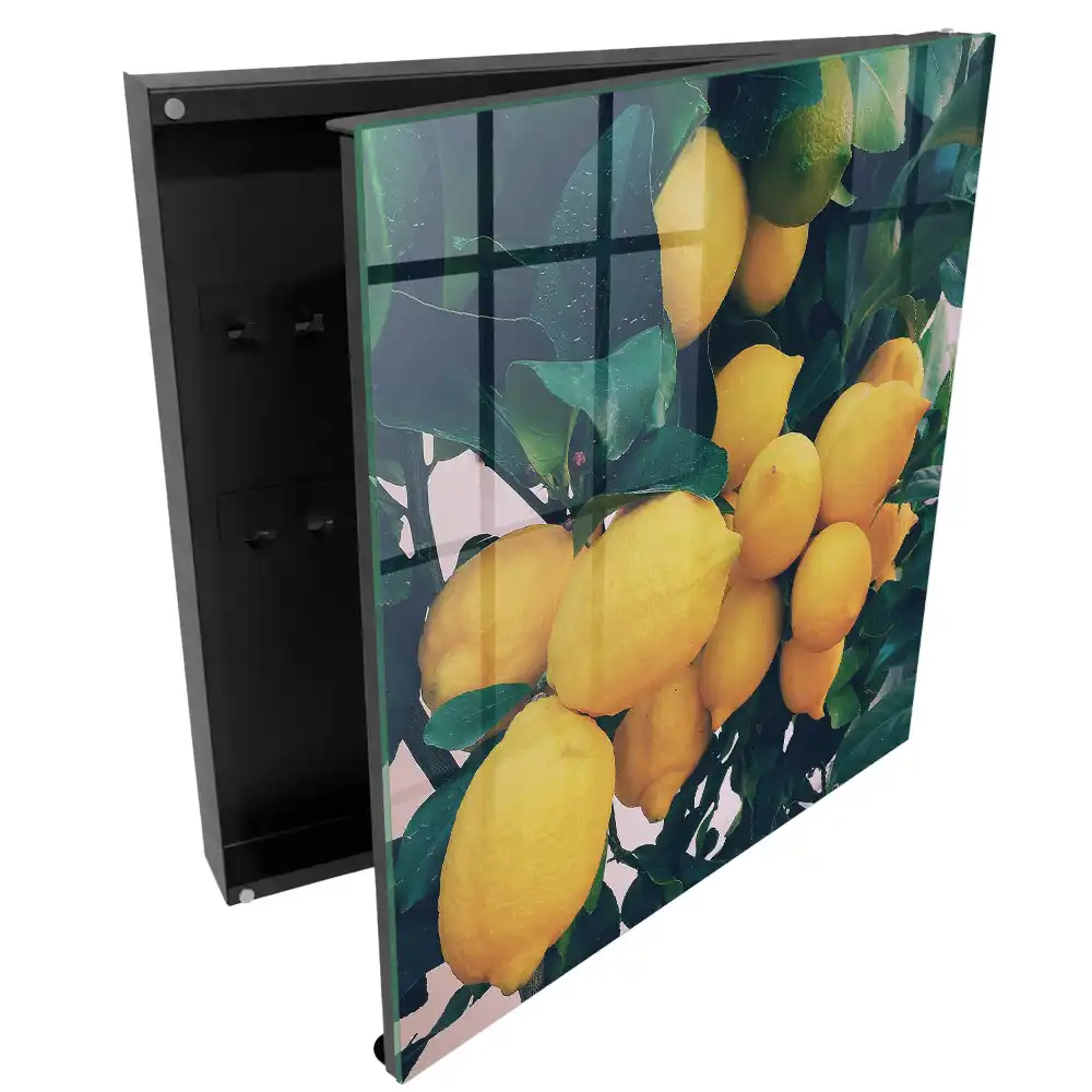 Box na klíče se vzorem žlutých citronů na zelených listech