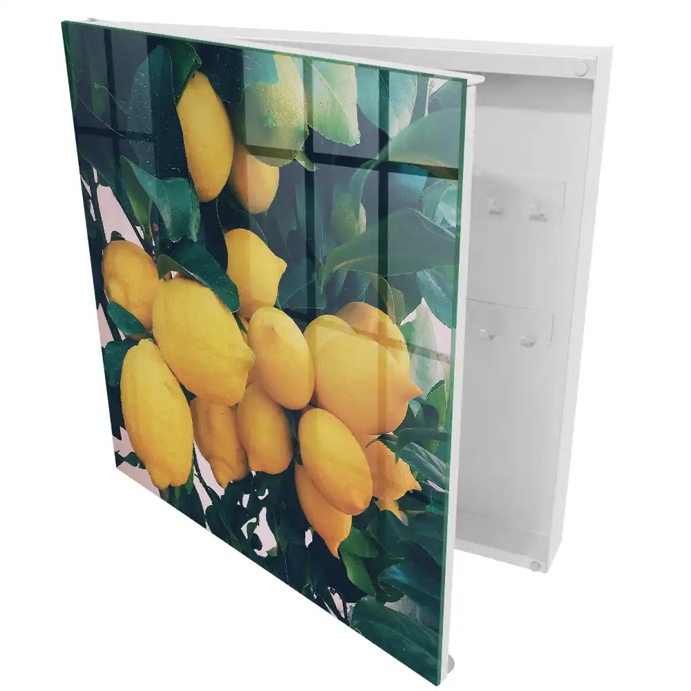 Box na klíče se vzorem žlutých citronů na zelených listech