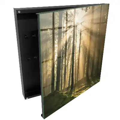 Box na klíče s motivem lesního světla