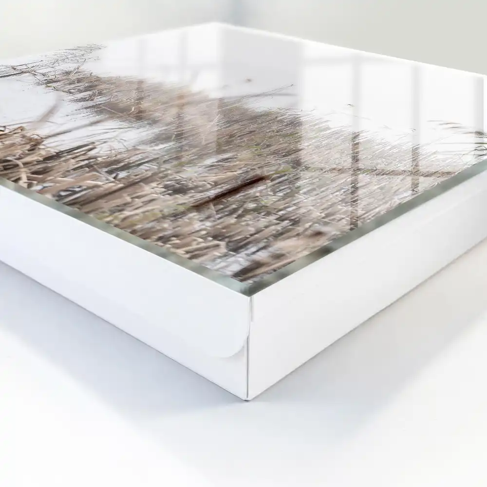 Nástěnná skříňka na klíče s motivem labutí v mlhavé krajině nad vodou