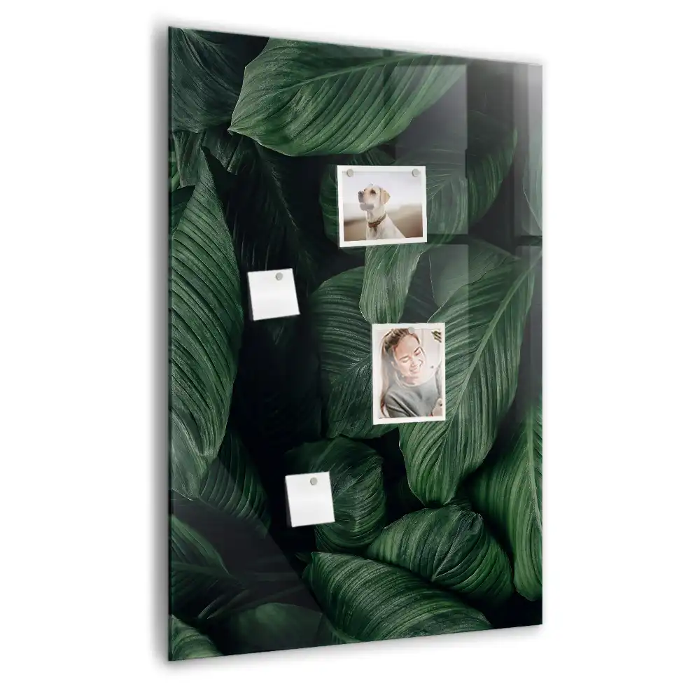 Magnetická kreslicí tabule s motivem exotických listů