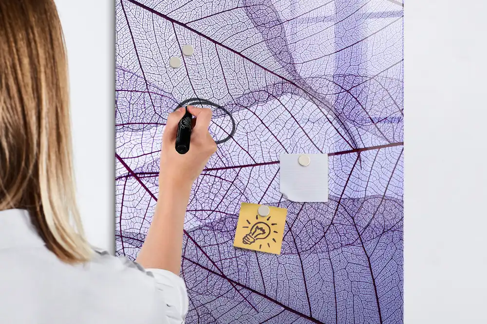 Magnetická kreslicí tabulka se strukturou listu