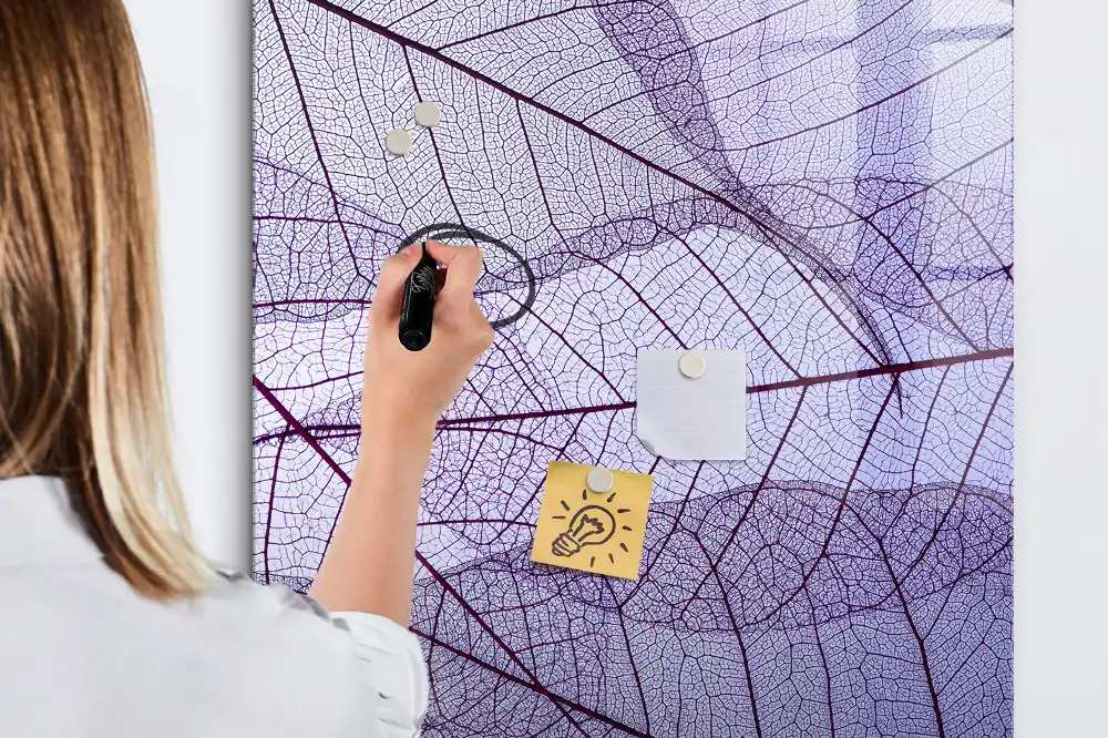 Magnetická kreslicí tabulka se strukturou listu