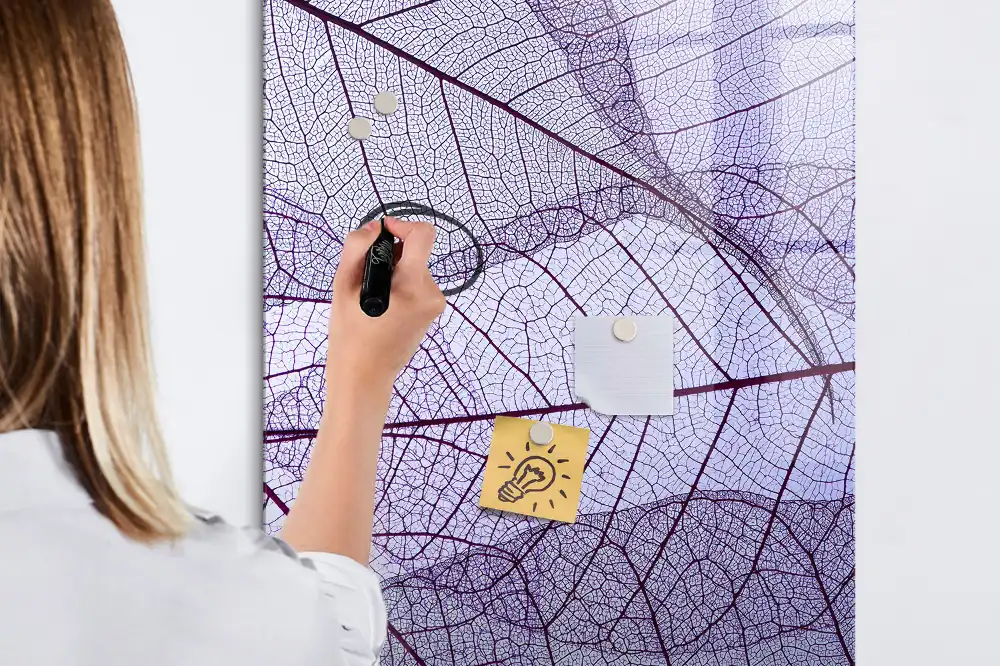 Magnetická kreslicí tabulka se strukturou listu