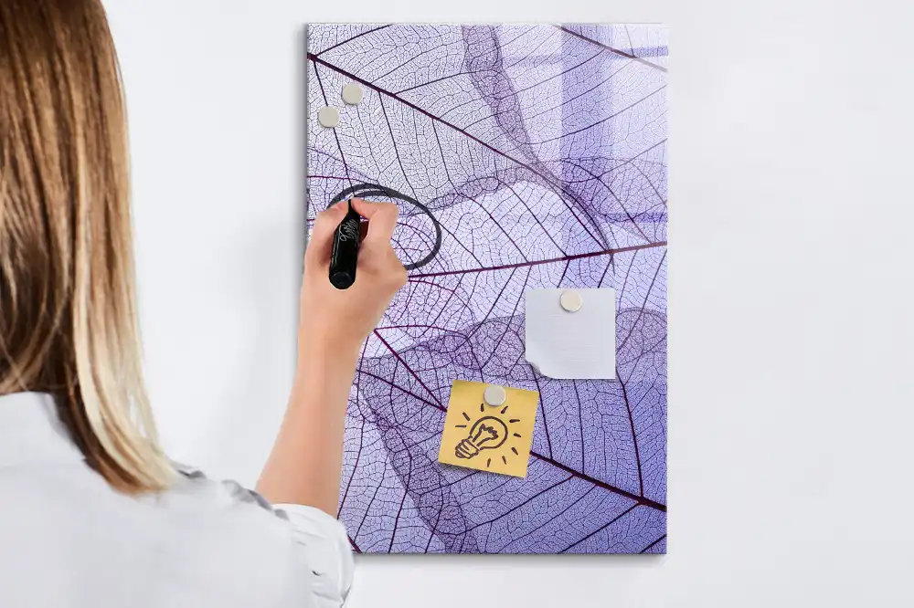 Magnetická kreslicí tabulka se strukturou listu
