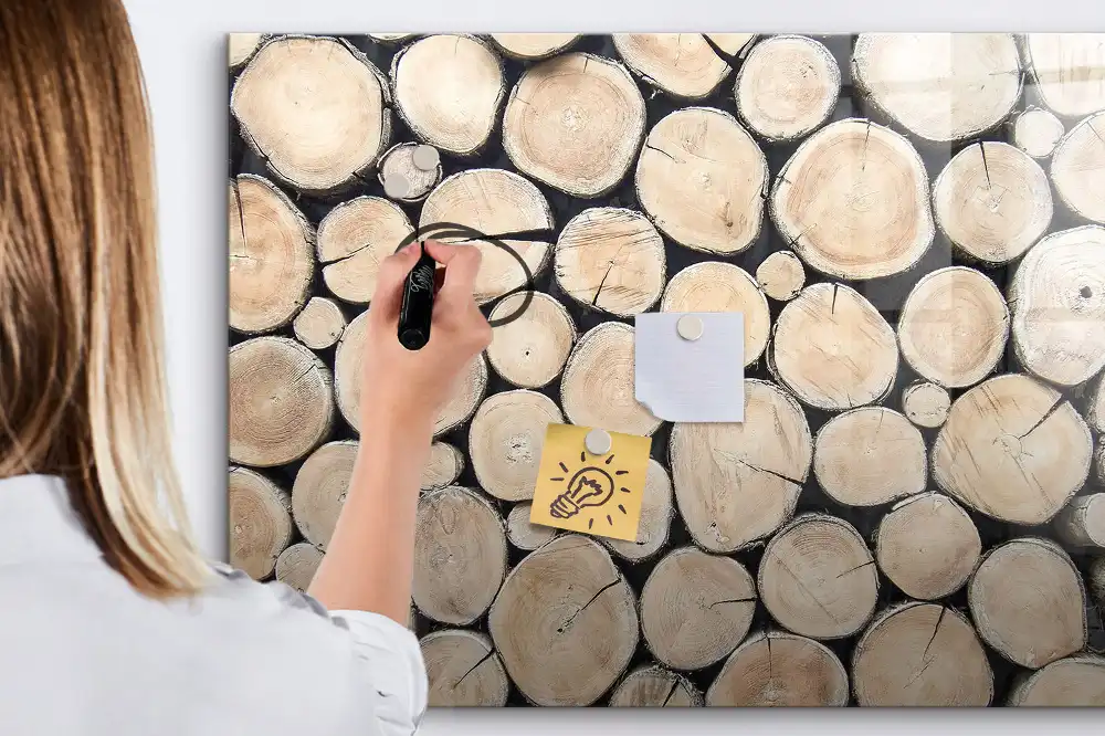 Magnetická kreslicí tabulka Řez stromu