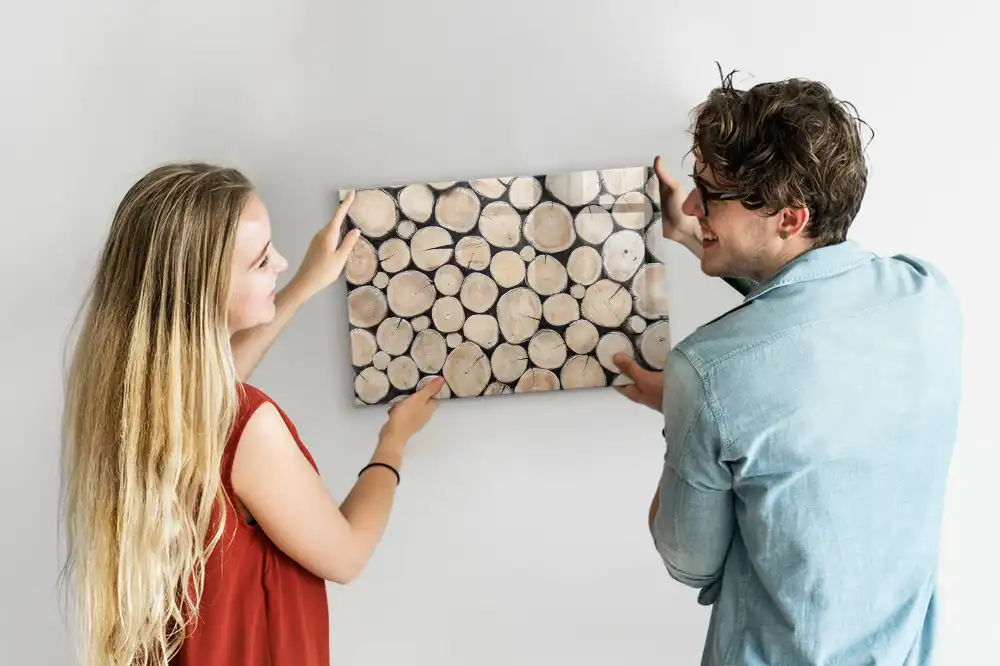 Magnetická kreslicí tabulka Řez stromu