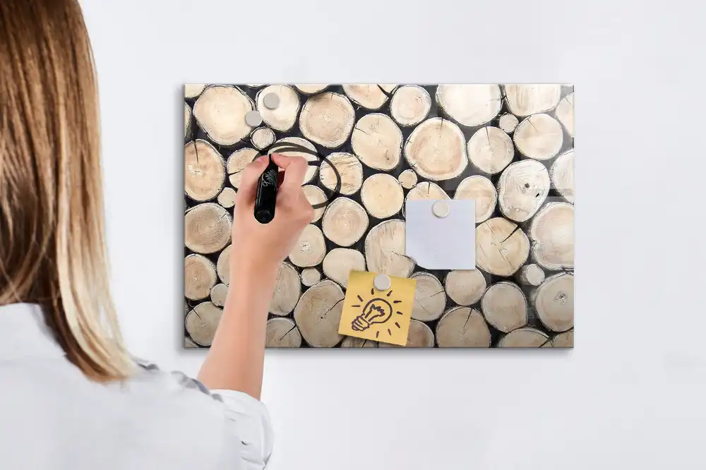 Magnetická kreslicí tabulka Řez stromu