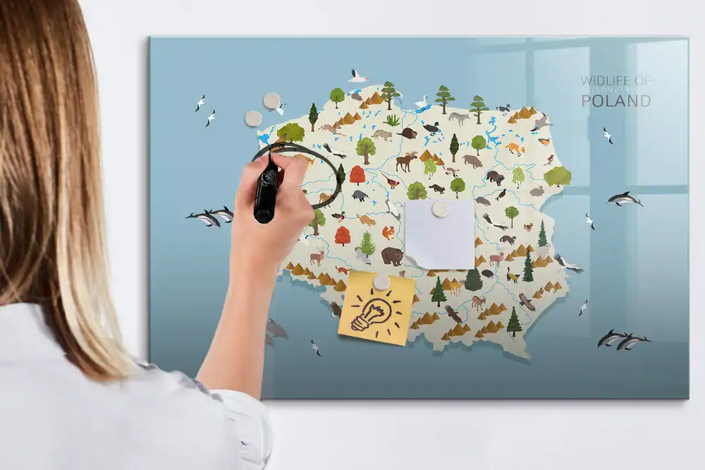 Magnetická kreslící tabule pro děti s motivem mapy Polska a zvířat