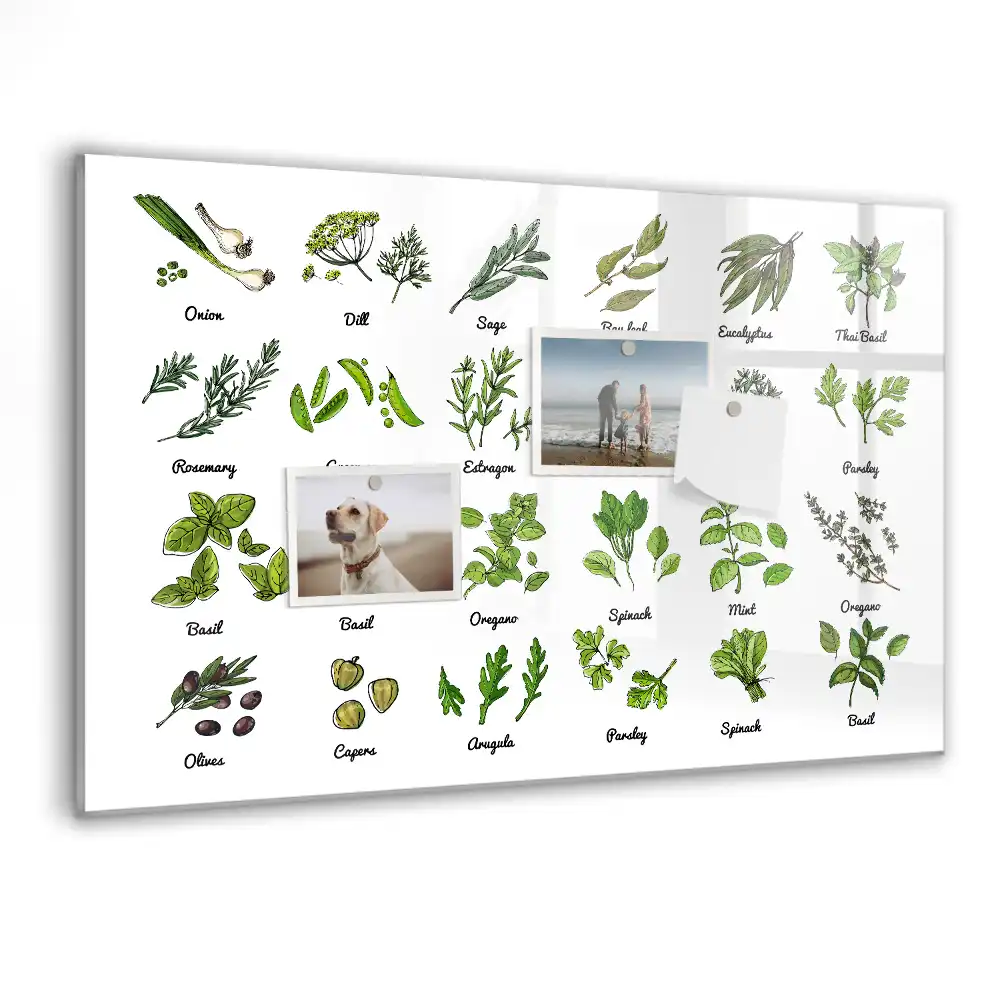 Magnetická kreslicí tabule Atlas stromů