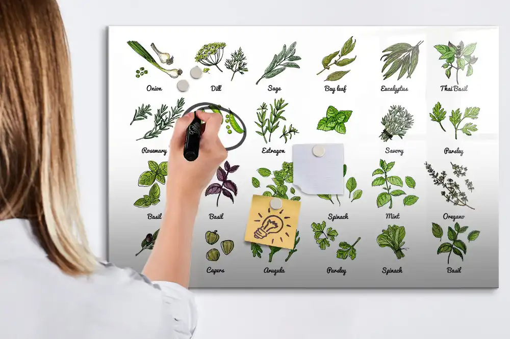 Magnetická kreslicí tabule Atlas stromů