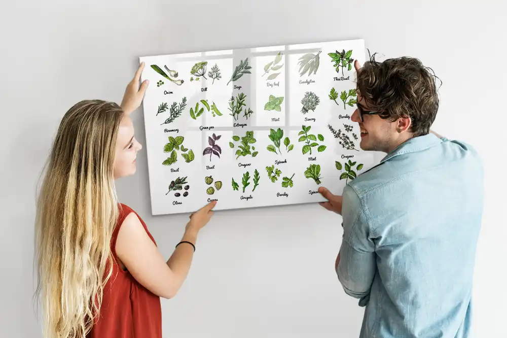 Magnetická kreslicí tabule Atlas stromů