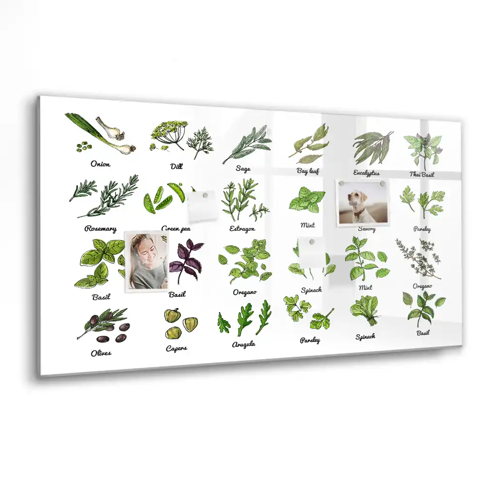 Magnetická kreslicí tabule Atlas stromů