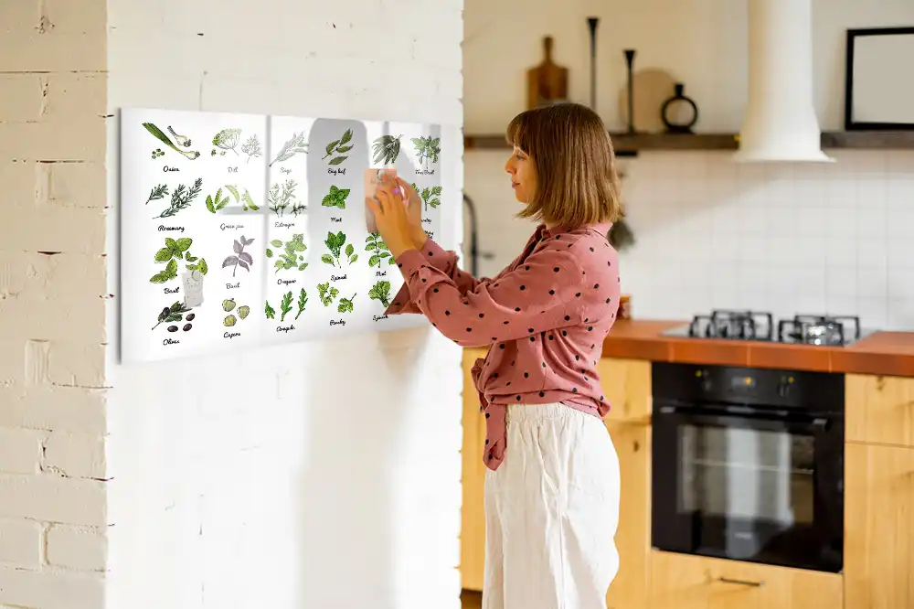 Magnetická kreslicí tabule Atlas stromů