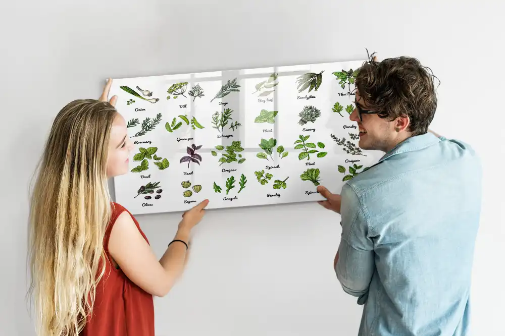 Magnetická kreslicí tabule Atlas stromů
