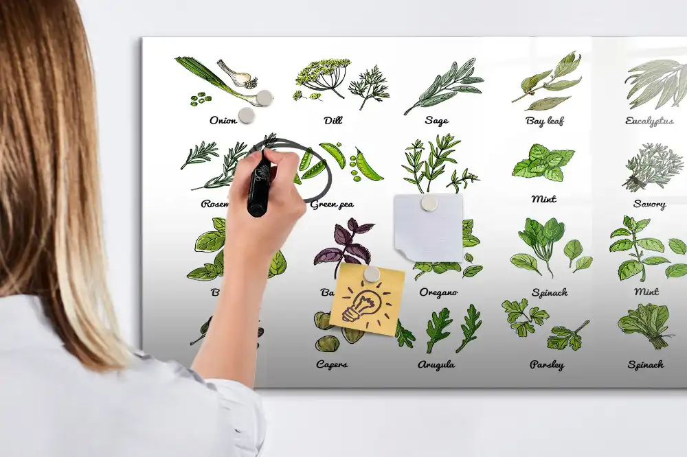 Magnetická kreslicí tabule Atlas stromů
