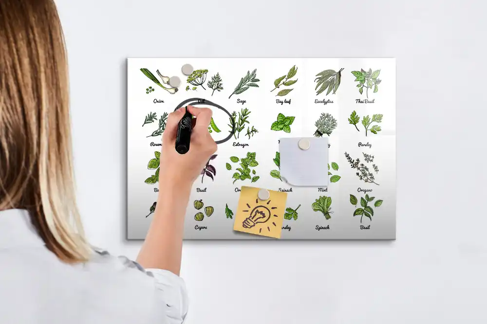 Magnetická kreslicí tabule Atlas stromů
