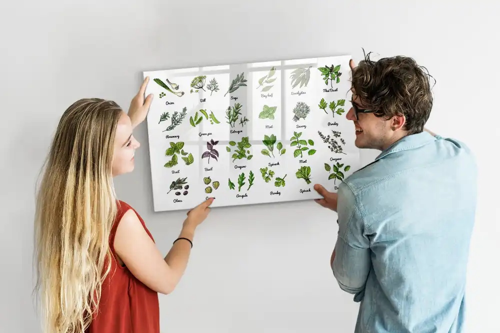 Magnetická kreslicí tabule Atlas stromů