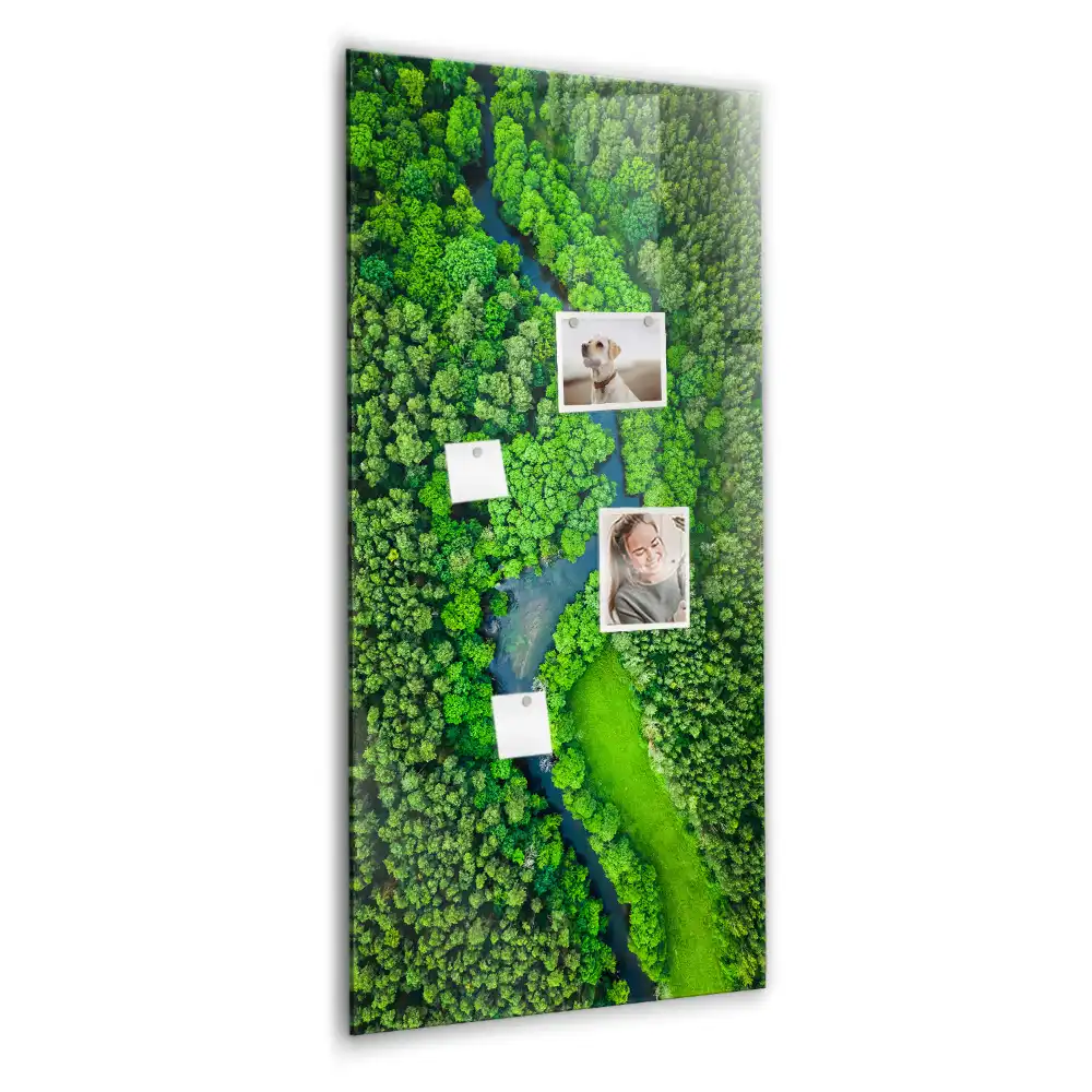 Nástěnná magnetická tabule s motivem lesní řeky
