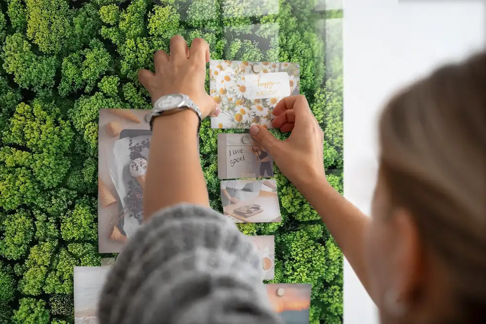 Skleněná magnetická tabule s motivem lesních stromů