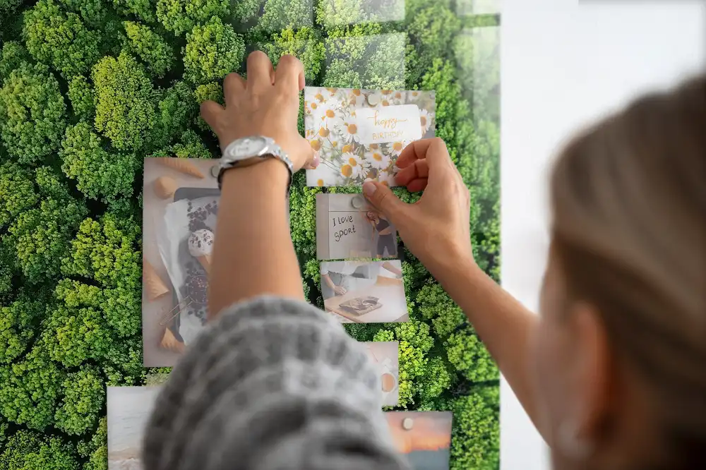 Skleněná magnetická tabule s motivem lesních stromů