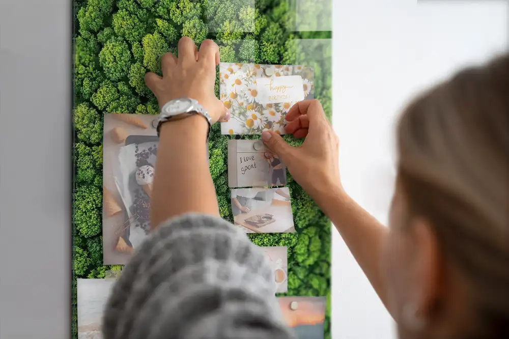 Skleněná magnetická tabule s motivem lesních stromů