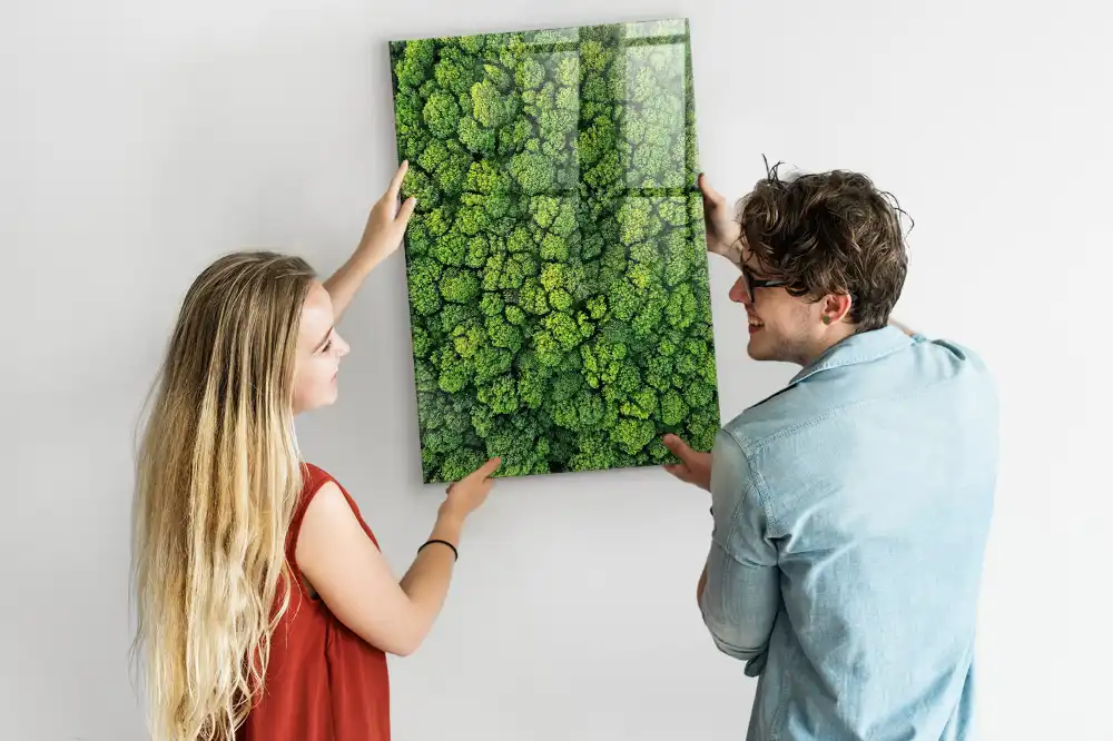 Skleněná magnetická tabule s motivem lesních stromů