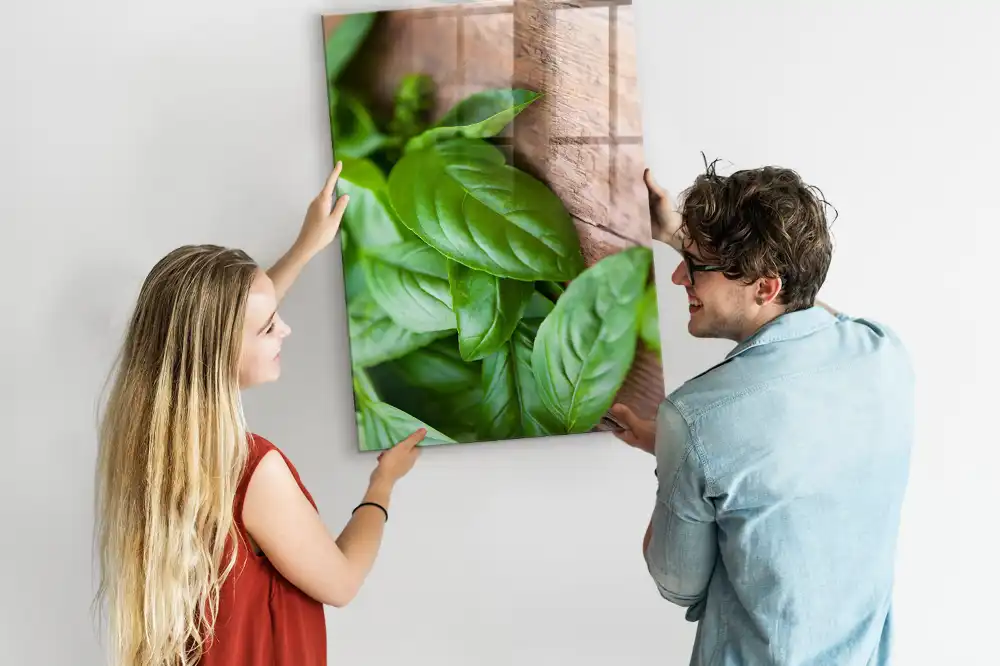 Magnetická nástěnka s motivem lístků bazalky