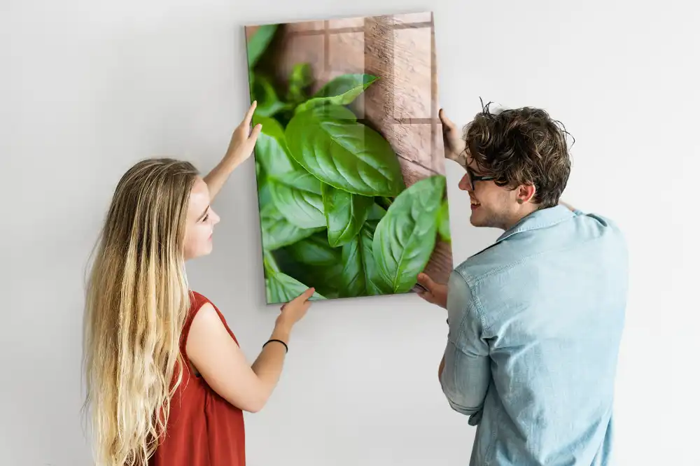 Magnetická nástěnka s motivem lístků bazalky