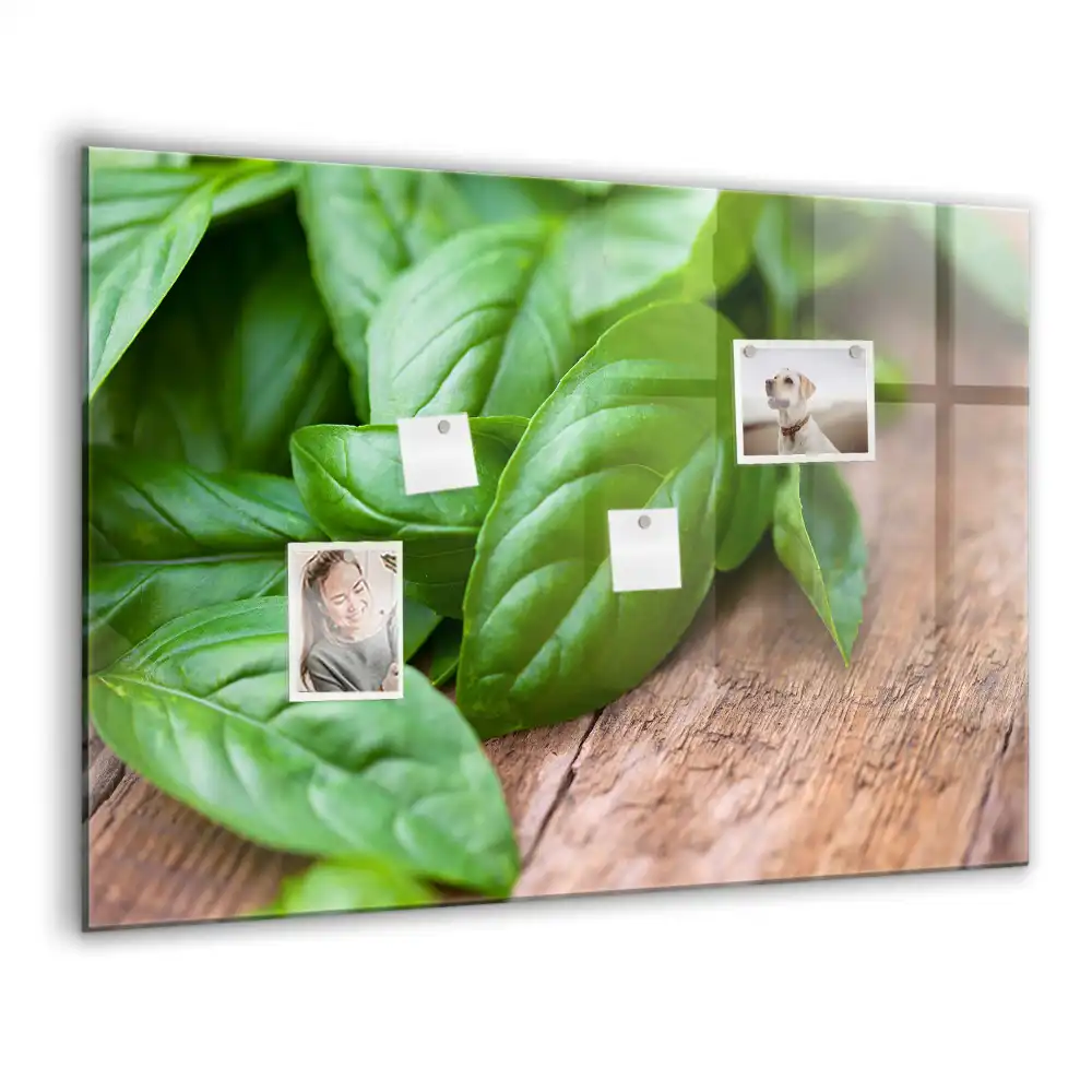 Skleněná magnetická tabule v barvě zelená bazalka