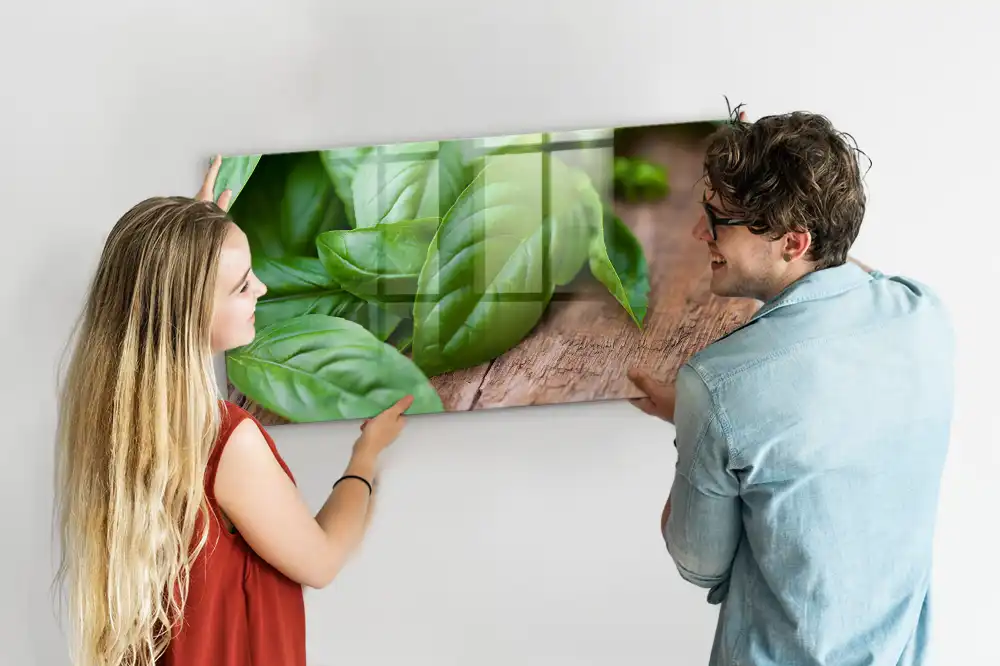Skleněná magnetická tabule v barvě zelená bazalka