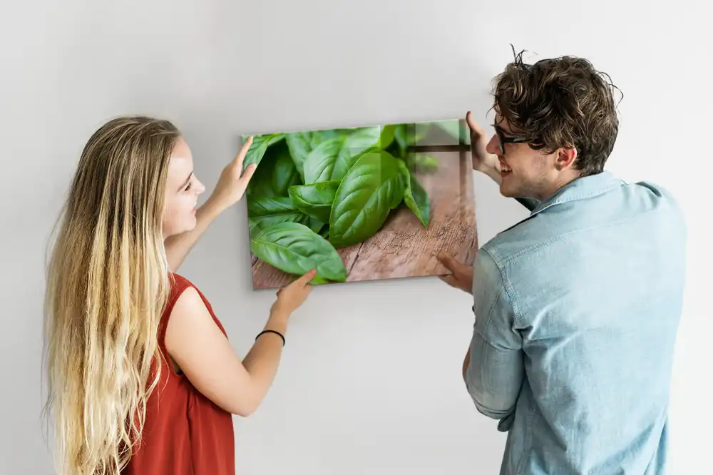 Skleněná magnetická tabule v barvě zelená bazalka