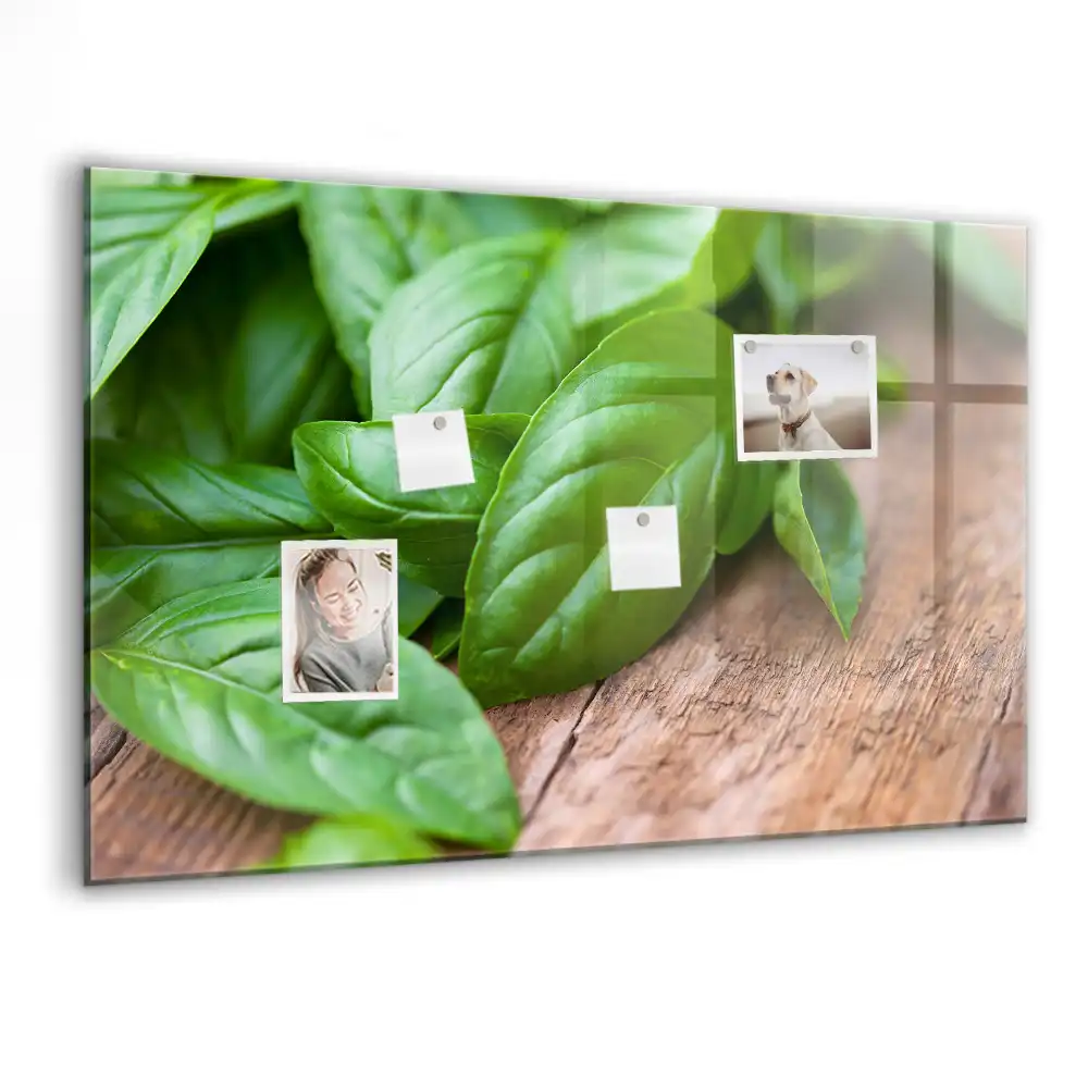 Skleněná magnetická tabule v barvě zelená bazalka