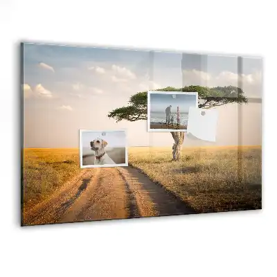 Magnetická tabule na zeď Africká savana