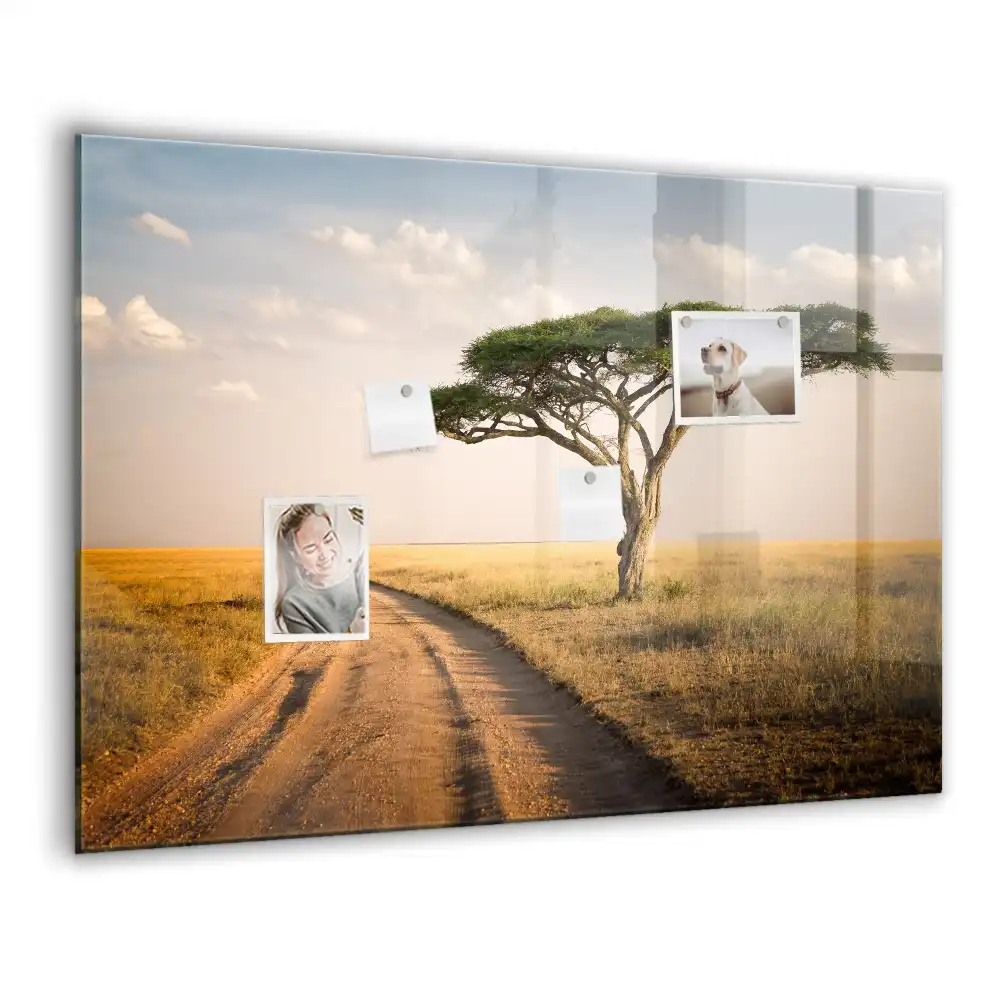 Magnetická tabule na zeď Africká savana