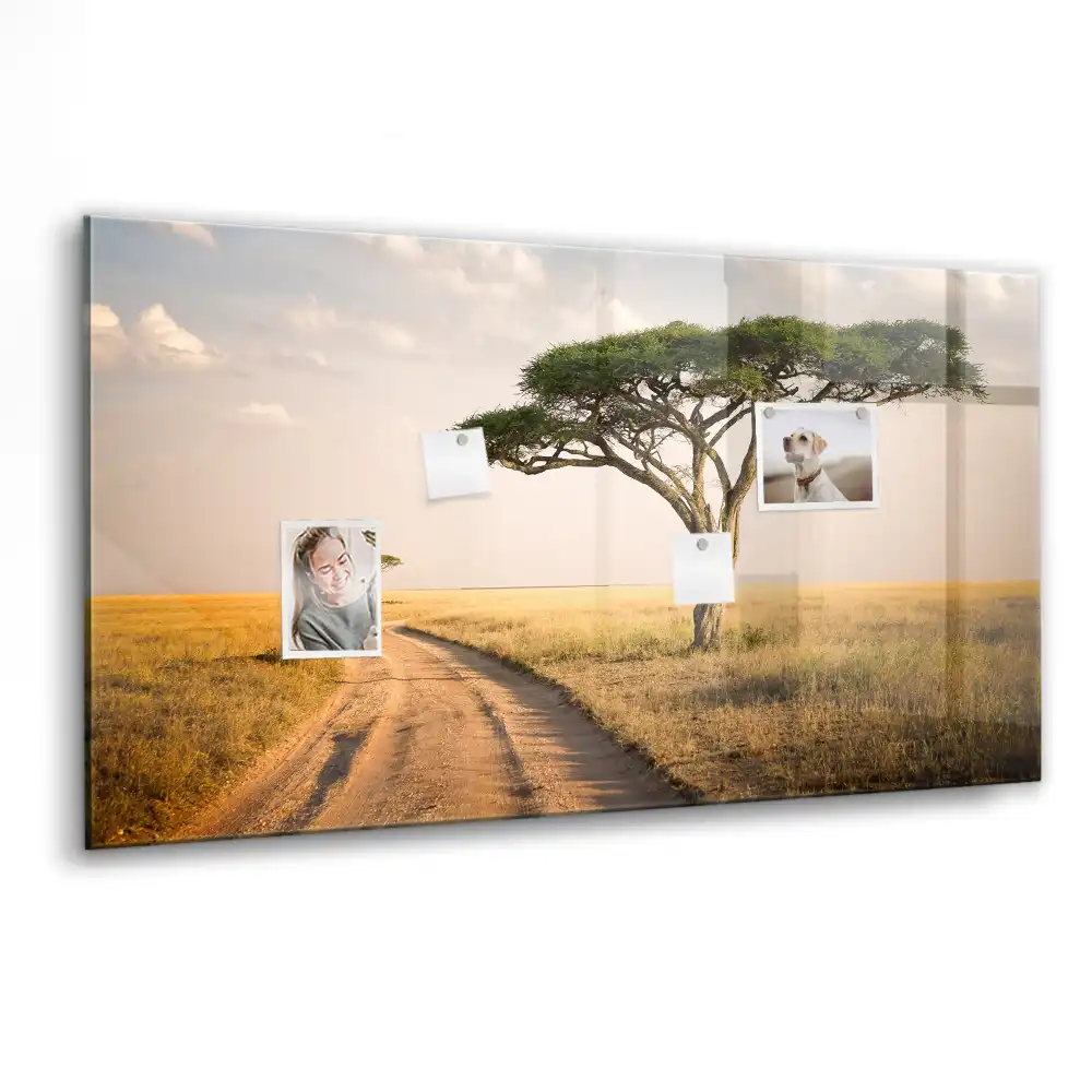 Magnetická tabule na zeď Africká savana