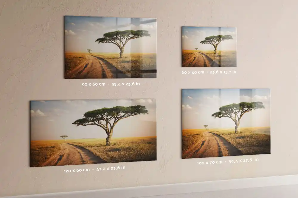 Magnetická tabule na zeď Africká savana
