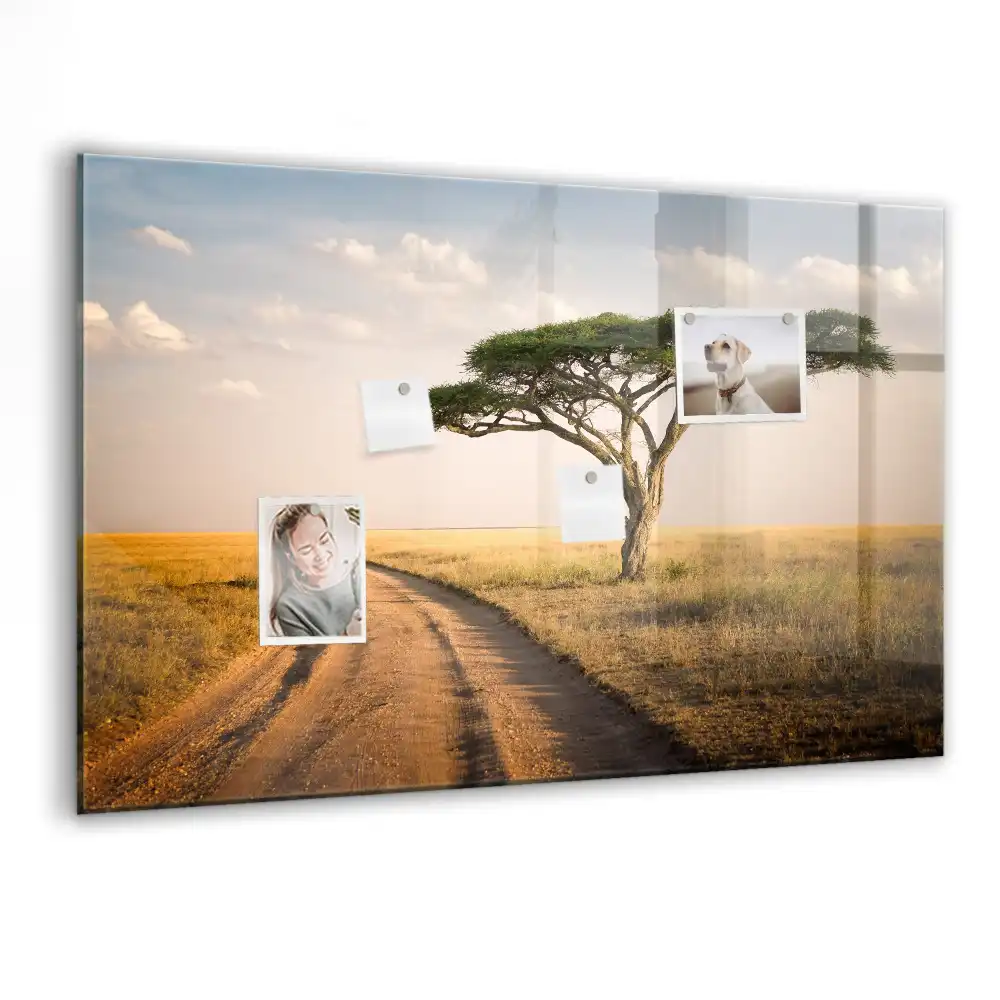 Magnetická tabule na zeď Africká savana