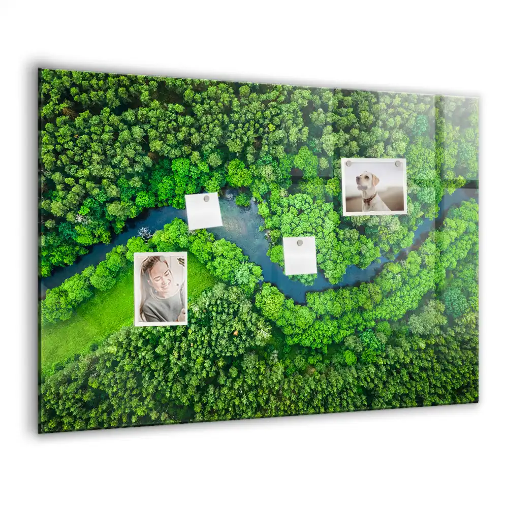 Magnetická tabule na zeď motiv lesního potoka