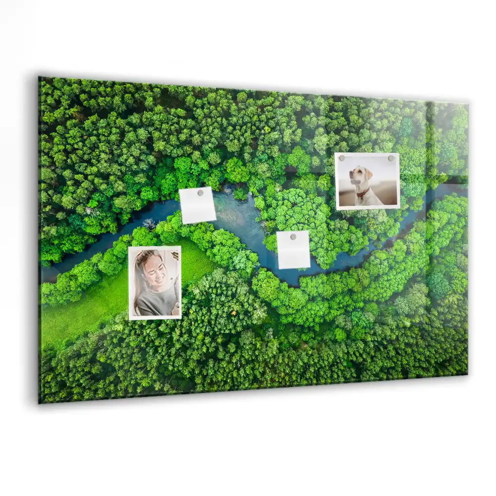 Magnetická tabule na zeď motiv lesního potoka