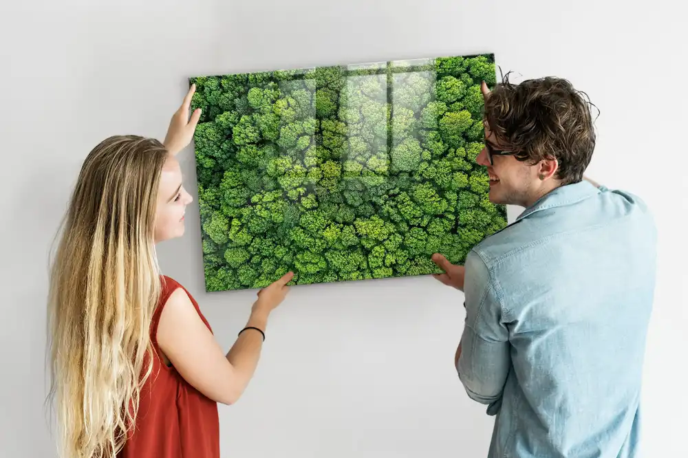 Magnetická tabule Borový les z ptačí perspektivy