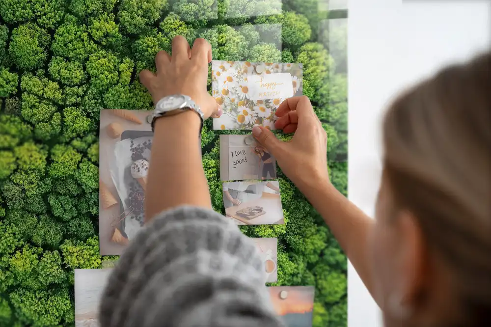 Magnetická tabule Borový les z ptačí perspektivy